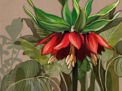 Коллекция SOLO