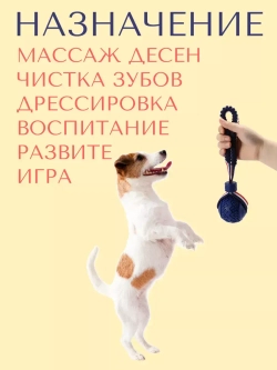 Прочная игрушка-мяч для собак средних-мелких пород