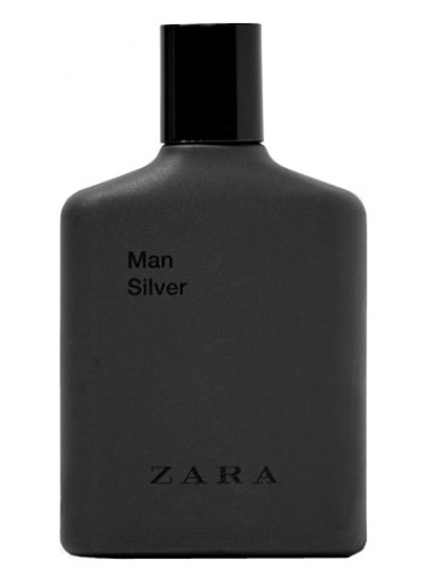 Zara Man Silver