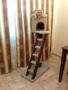 Дом для котят Н-3