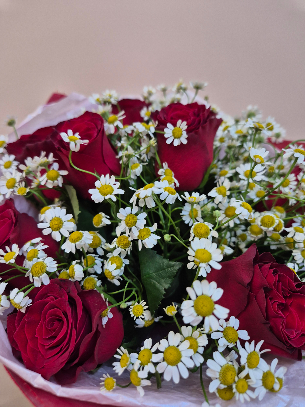 Букет из красной розы с танацетумом в бархатном платье