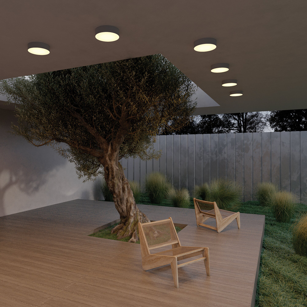 Уличный потолочный светильник Outdoor O431CL-L30B3K