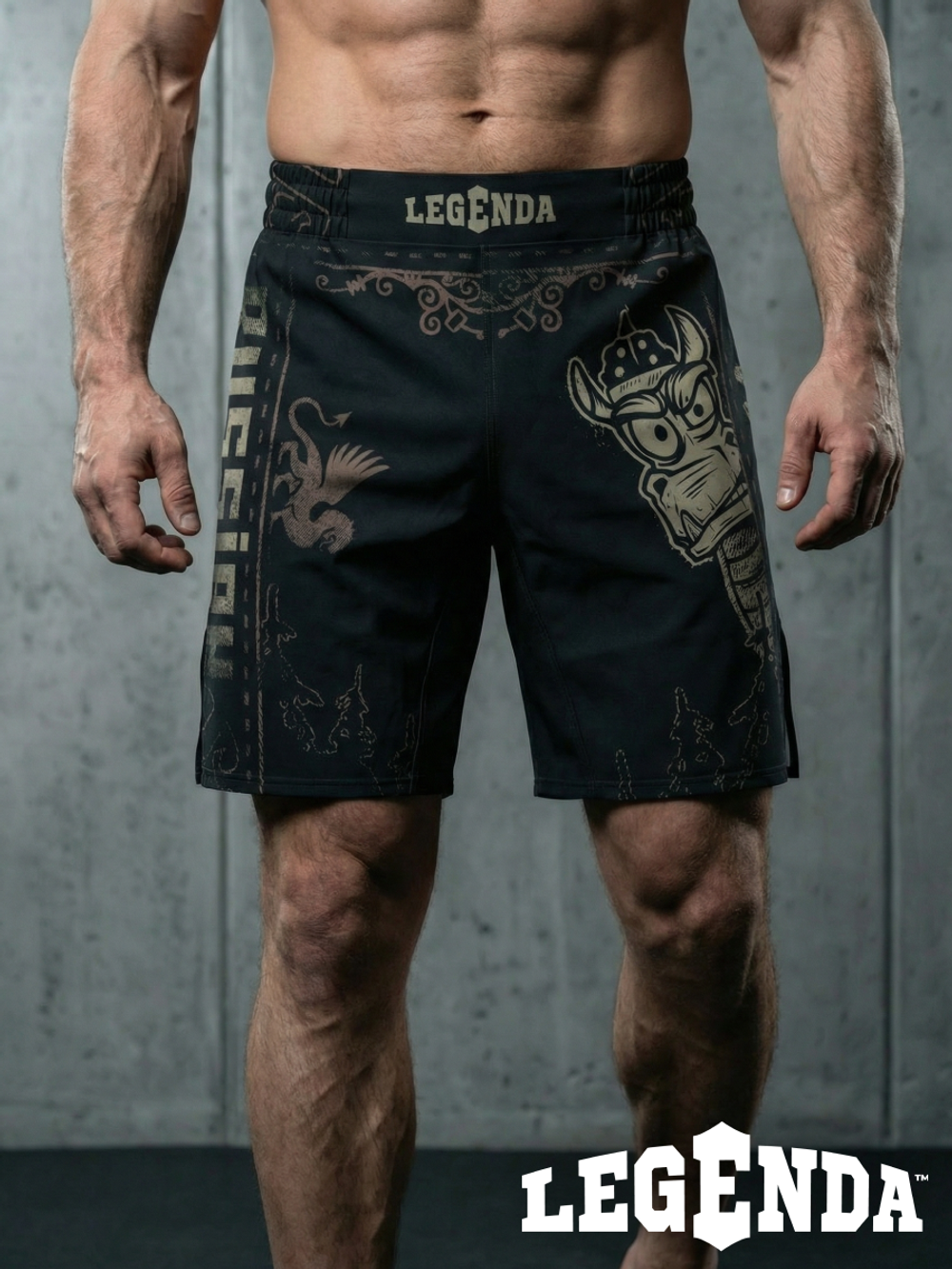 Шорты спортивные тренировочные LEGENDA Горыныч