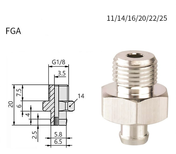 Fga1-ag01 (external teeth)