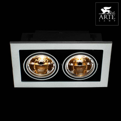 Встраиваемый светильник Arte Lamp A5930PL-2SI