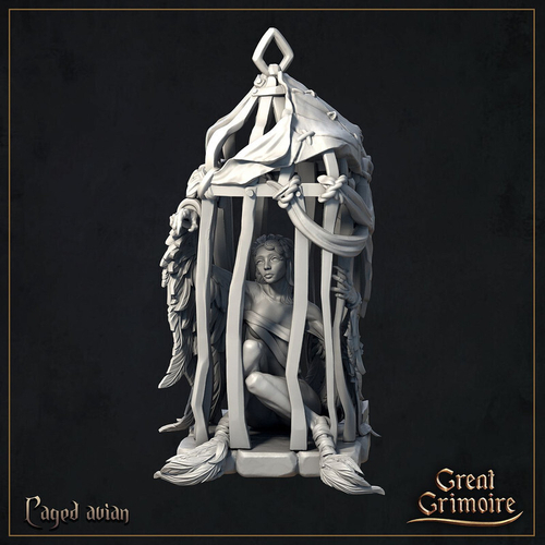 Человек Девушка в клетке миниатюра для dnd, днд, pathfinder, фентези, Настольная игра, НРИ, Варгейм, РПГ