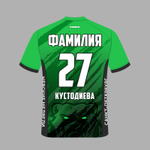 Футболка мужская. Основной. Кустодиева