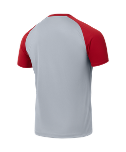 Футболка тренировочная JOGEL PREMIER PerFormDRY Training Tee, серый/темно-красный