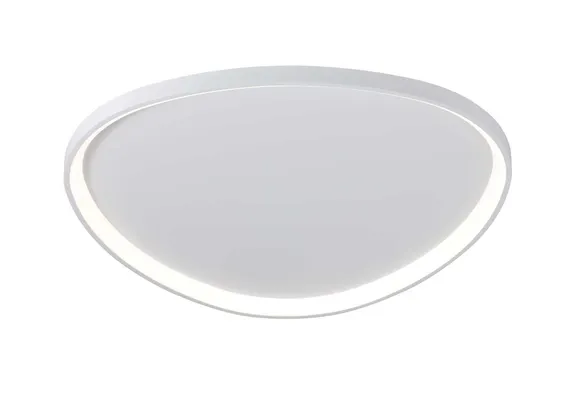 2550/850 WHITE (1) Потолочный светильник (RL)