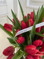АКЦИЯ тюльпан - классика КРАСНЫЙ