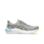 Мужские кроссовки ASICS GT-2000 12 'Sheet Rock Bright Yellow' 1011B691-021