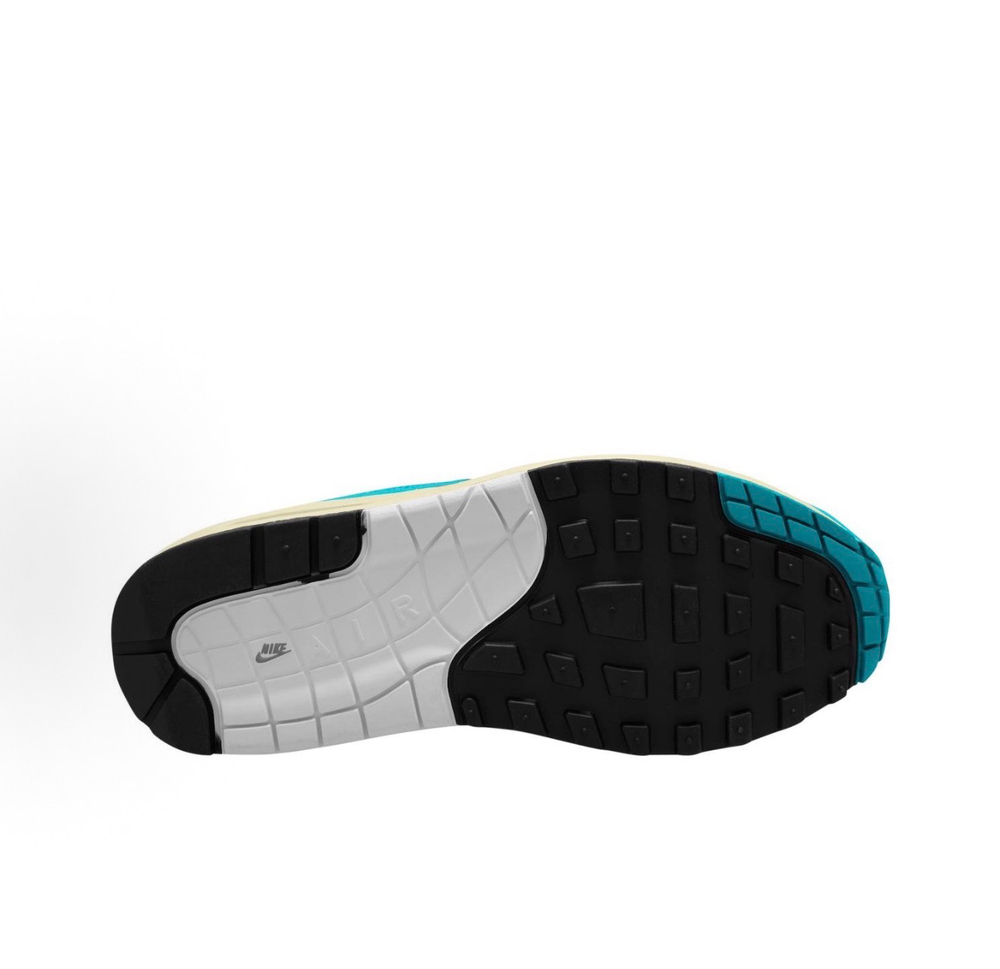 Nike Air Max 1 Dusty Cactus