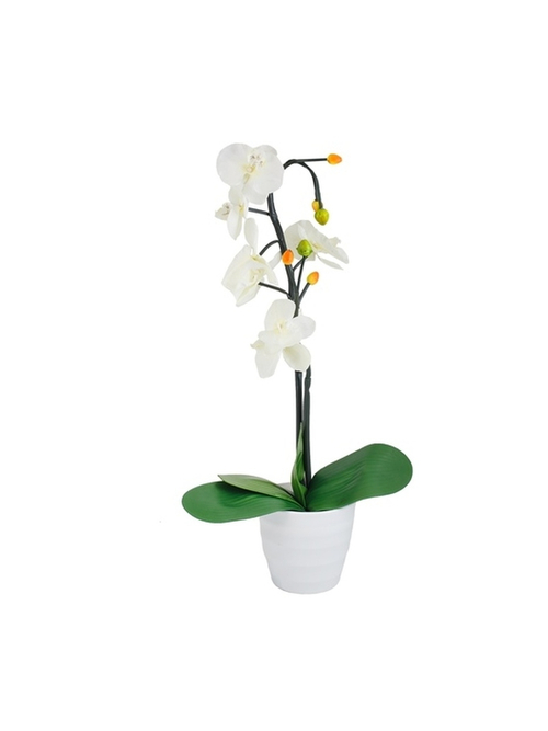 Светильник  Орхидея