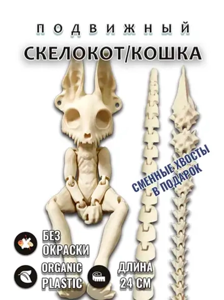 Скелет Кошки