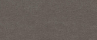 Искусственная кожа Nevada (Невада) 91