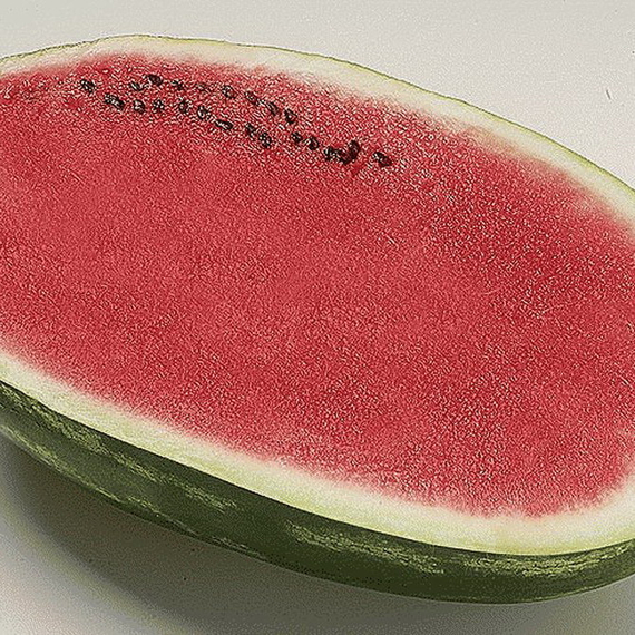 ФАРАО F1 семена арбуза Syngenta описание – фото 3