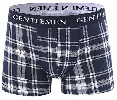 Клетчатые боксеры с широкой брендированной резинкой (Размер: XL) (Цвет: белый)