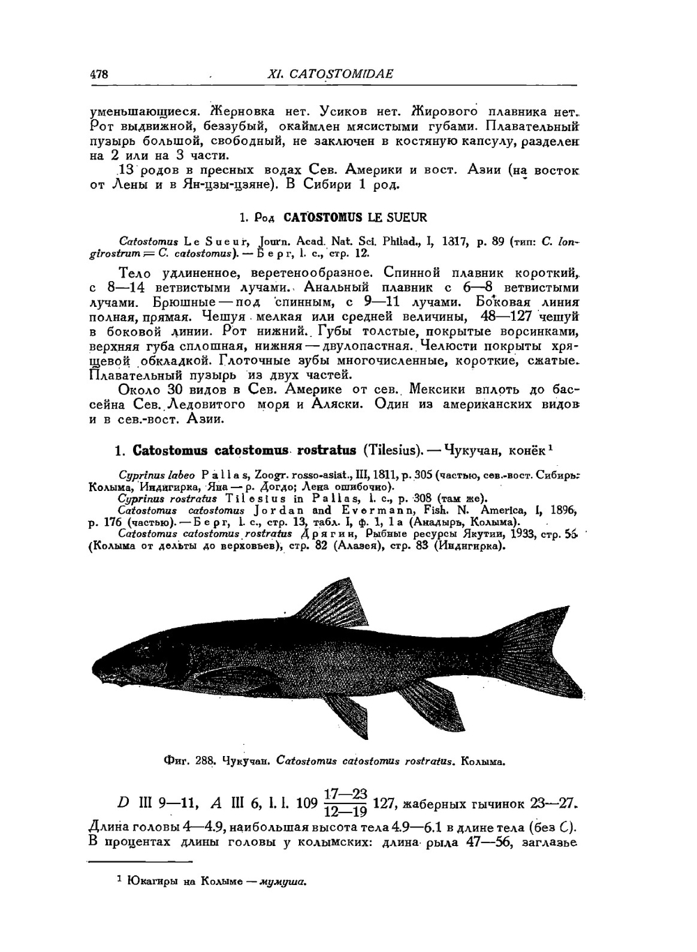 Определители по фауне СССР. Том 29.  Рыбы пресных вод СССР и сопредельных стран. Часть 2 | Л. Берг