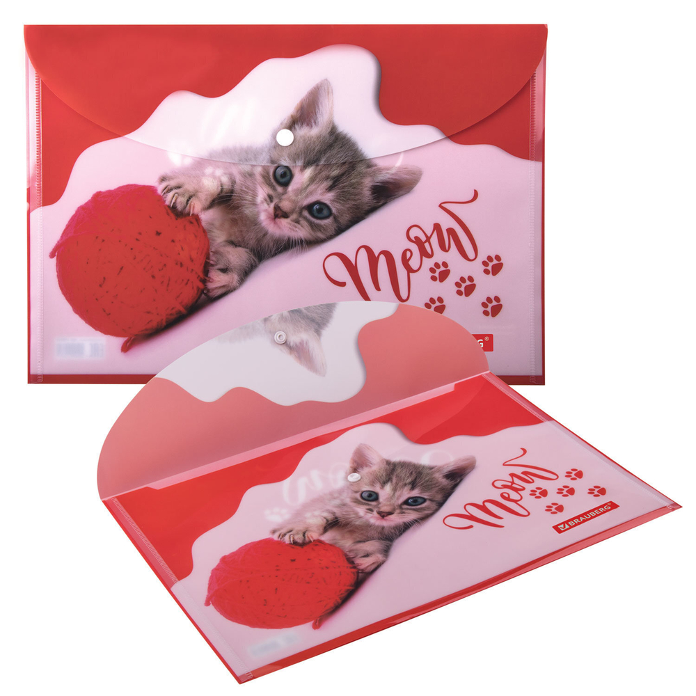 Папка-конверт с кнопкой BRAUBERG "FUNNY CAT" А4 160 мкм цветная печать (12 штук в упаковке)