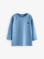 Лонгслив для мальчика Next 650-624, Голубой