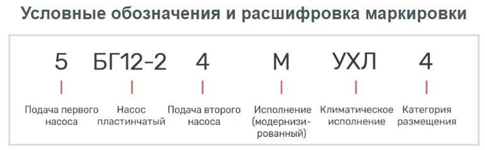 Насос 5БГ12-24М