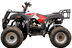 Yacota Sela 200 10" 2WD утилитарный заднеприводный квадроцикл с ативибрационным двигателем 180 куб/см