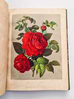"Nestel`s Rosengarten. [  Сад роз Нестела]". E. Schweizerbartsche Verlagshandlung. 1869г.