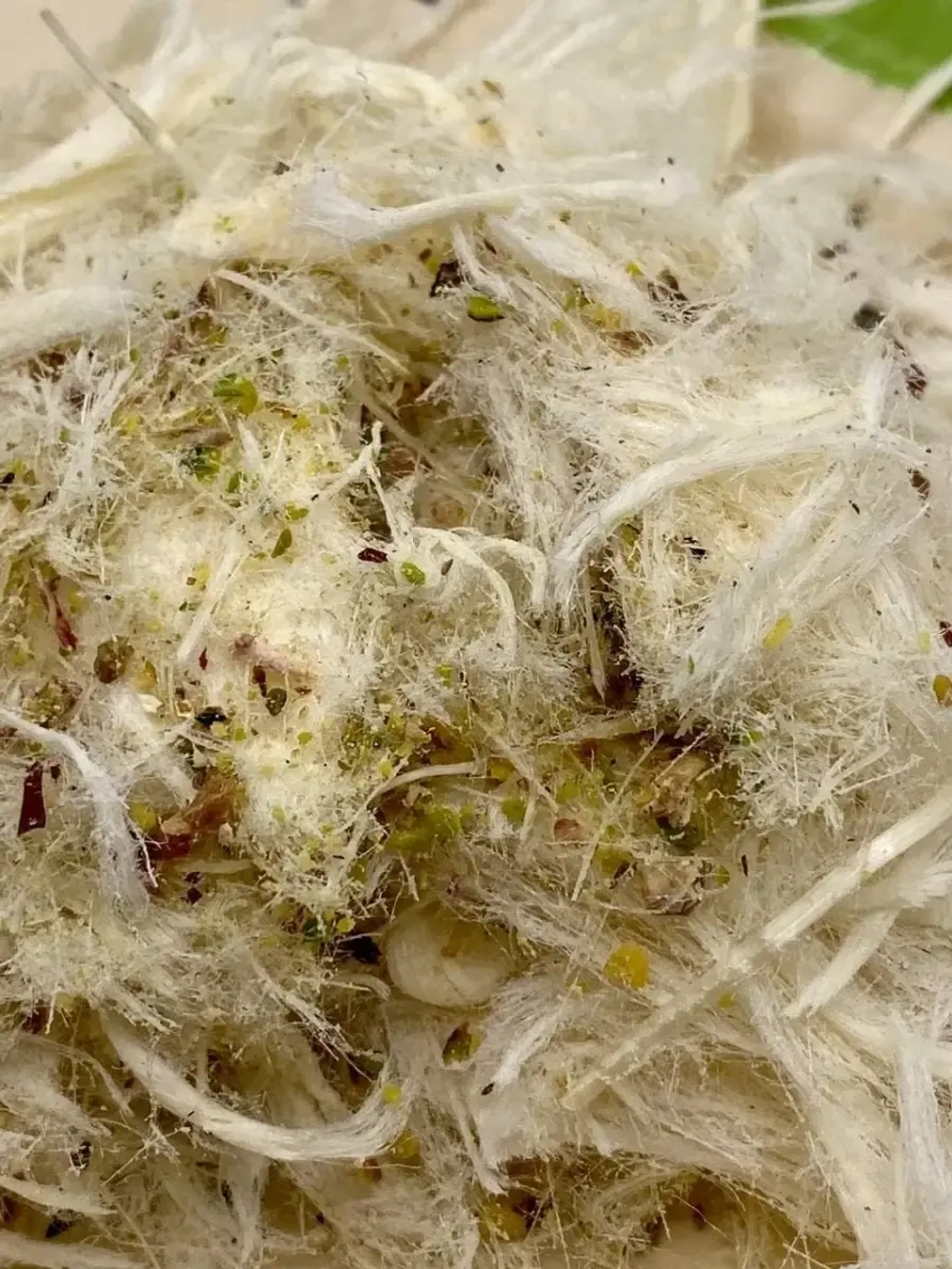 Пишмак с фисташками /Пишмание с фисташками