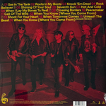 Виниловая пластинка Scorpions ‎– Rock Believer 2LP
