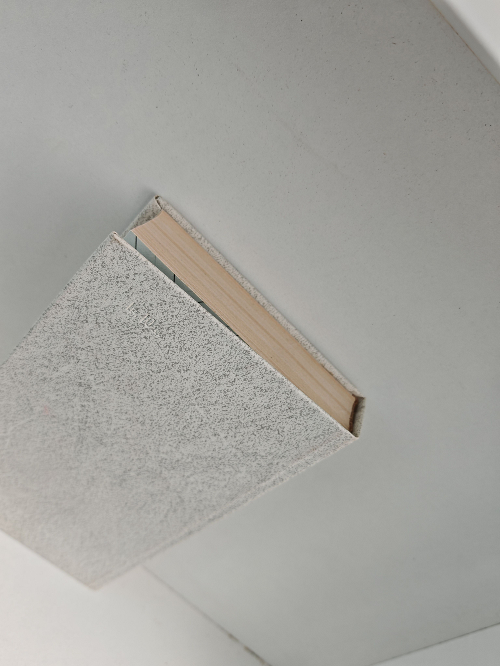 Встань, человек!