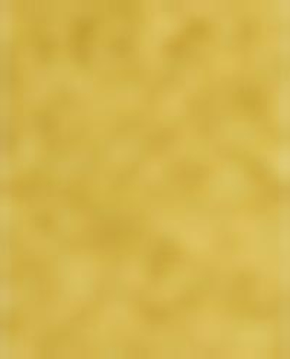 Zara Home Аромадиффузор Lemon Candied 190 мл, тростниковые палочки микадо, аромат свежий цитрусовый, Горчичный