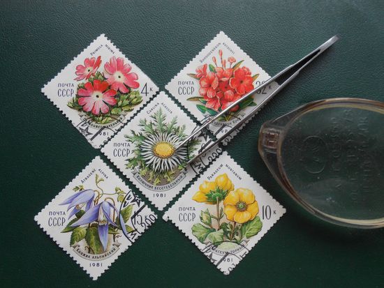 Коллекционирование. Некоторые особенности хобби