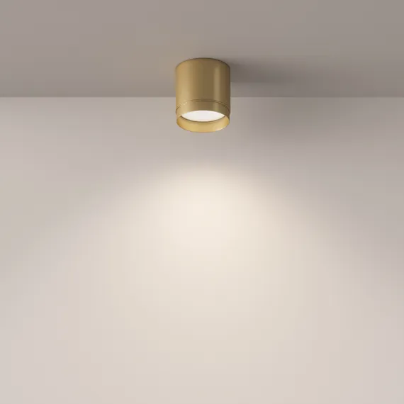 Потолочный светильник Полярный / Polar 1*GX53 12 Вт Technical c088cl-gx53-mg
