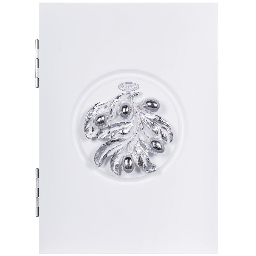 Полка ключница Oliva Branch (Олива Бранч) 2 Айс Античное серебро