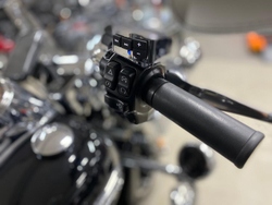 Harley-Davidson Freewheeler