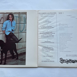Винтажная виниловая пластинка LP Jim Morrison Music By The Doors An American Prayer (США 1978)