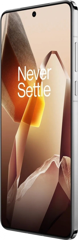 Смартфон OnePlus 13 12/256Gb, Arctic Dawn (CPH2649)