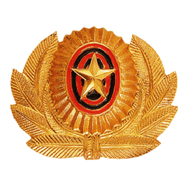 Кокарда ОВ (золотая) большая