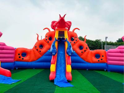 Надувной аквапарк «Аквасфера», без бассейна, 25*22*7,3 м