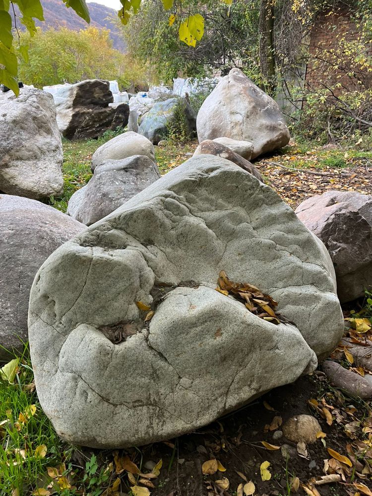 Gray River Boulder /tn