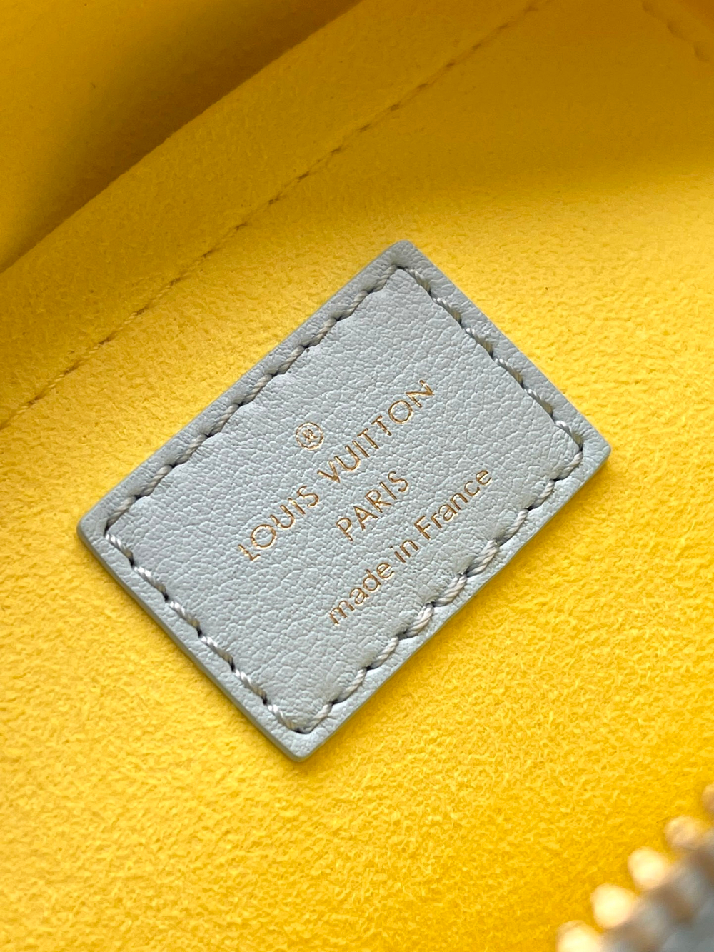 Louis Vuitton Speedy 20