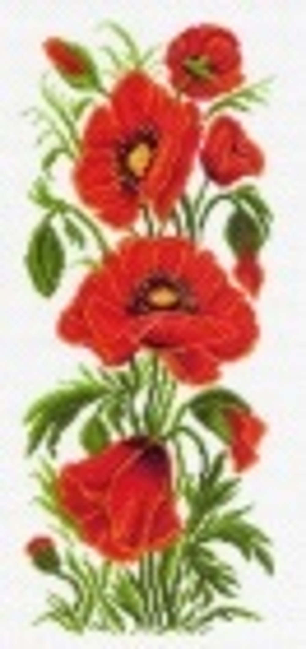 "Полевые маки"-1080 канва с рисунком