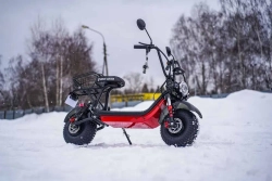 Электроскутер WHITE SIBERIA MINI R 1.5 1200W