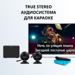 Аудиосистема для караоке EvoSound Sphere