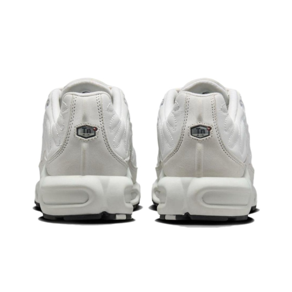 Nike Air Max Plus Reflective Platinum Tint FZ4342 001 0 insneaker.ru