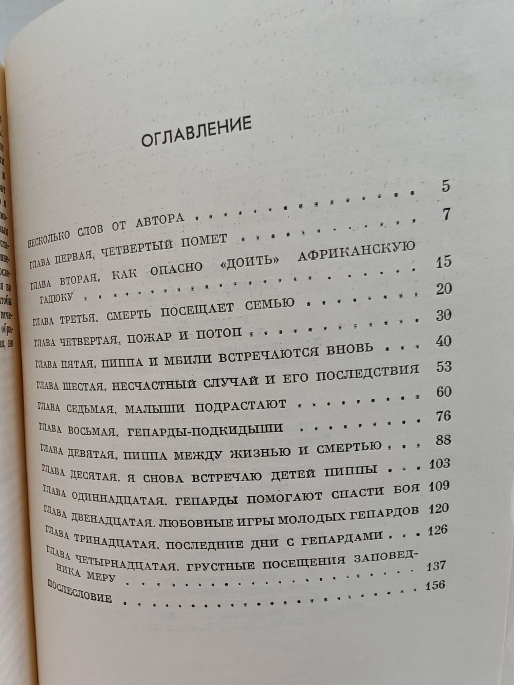 Пиппа бросает вызов