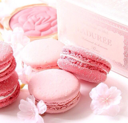 Роза красная порошок, 30 гр