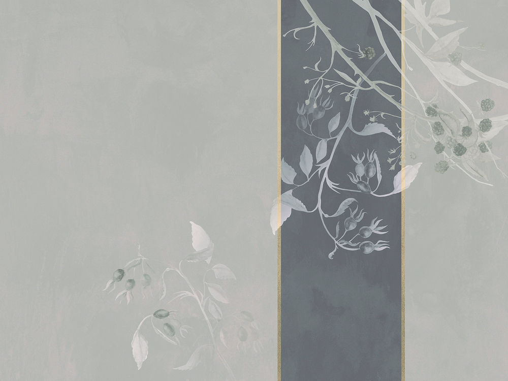 Коллекция BELLA