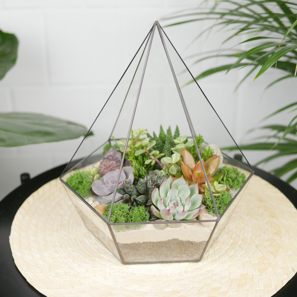 Флорариум с суккулентами Алмаз Laaroom