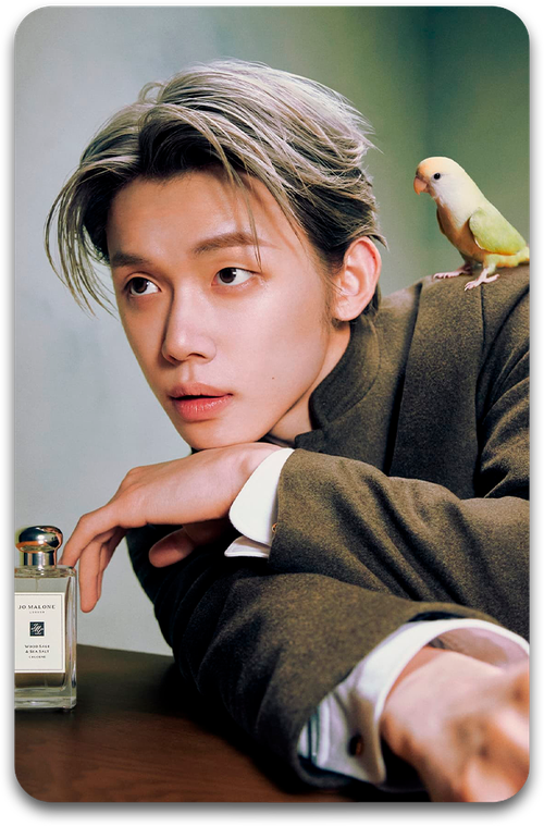 Карта / TXT #336